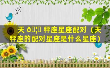 天 🦍 秤座星座配对（天秤座的配对星座是什么星座）